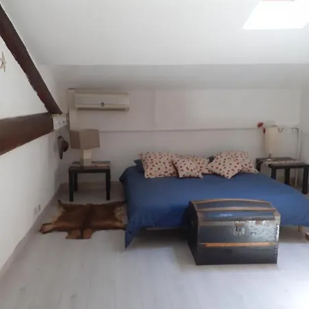 Chambre Dans Une Grande Maison Entre Canal Du Midi Et Centre Ville Béziers Buitenkant foto