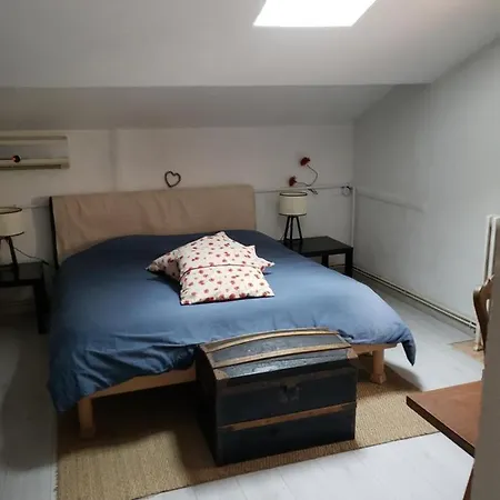 Chambre Dans Une Grande Maison Entre Canal Du Midi Et Centre Ville Béziers Buitenkant foto
