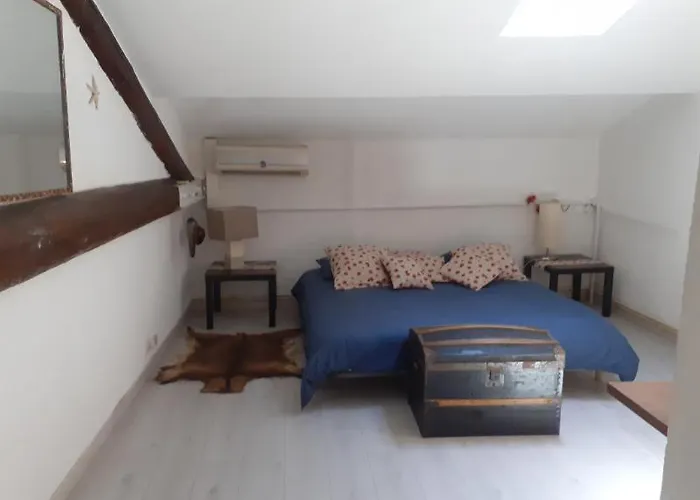 Chambre Dans Une Grande Maison Entre Canal Du Midi Et Centre Ville