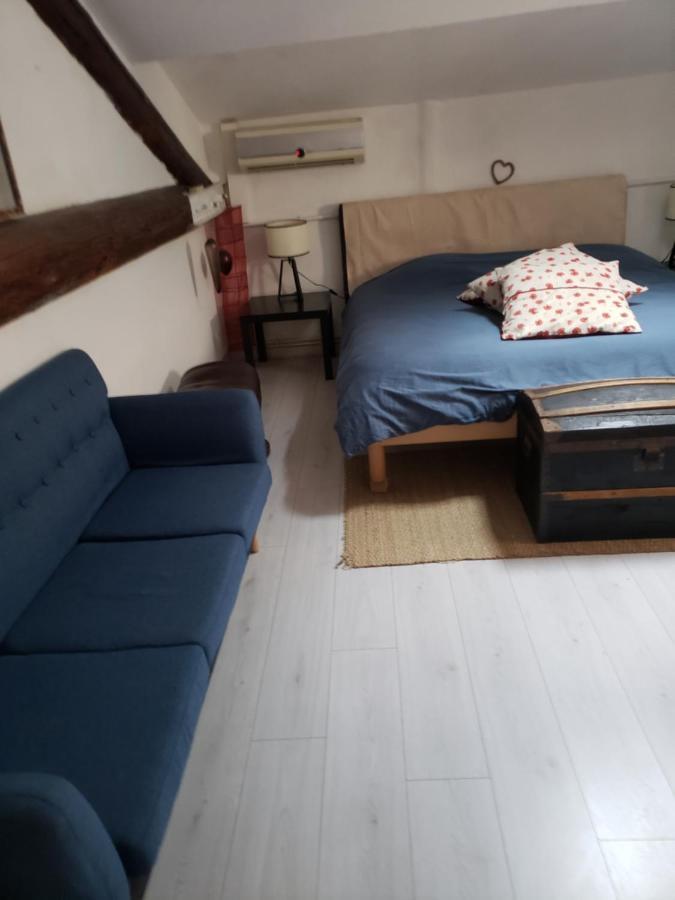 Homestay Dans Grande Maison Entre Canal Du Midi Et Centre